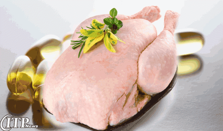 معرفی گوشت مرغ حاوی امگا3 توسط محققین هند  