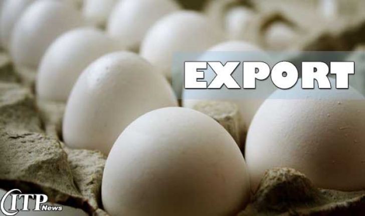 صادرات تخم مرغ به مرز 150 تن رسید