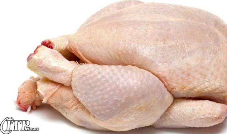 احتمال افزایش قیمت مرغ در هفته آینده