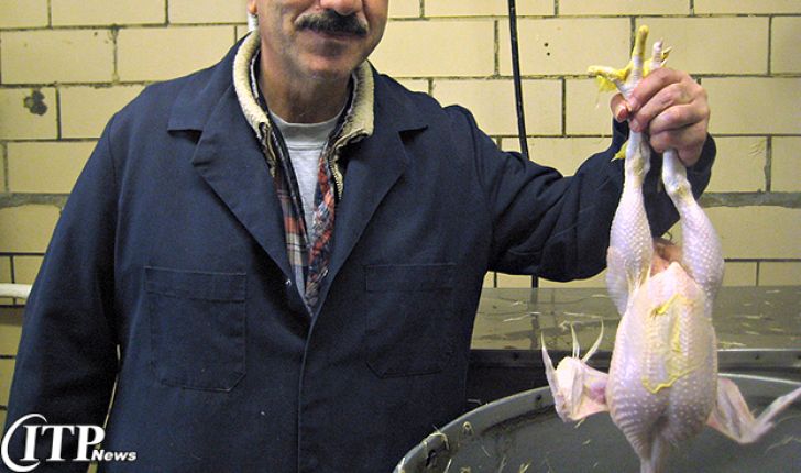 اعلام وضعیت قیمت مرغ برای روزهای پایانی هفته