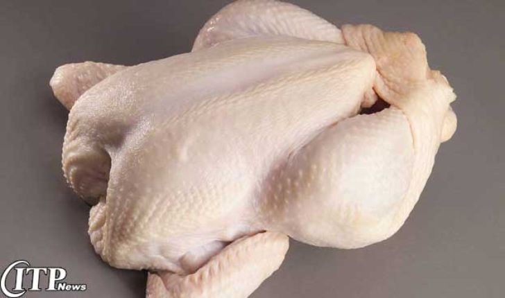 مردم از خرید مرغ‌های با وزن بالای ۱۸۰۰ گرم خودداری نمایند 