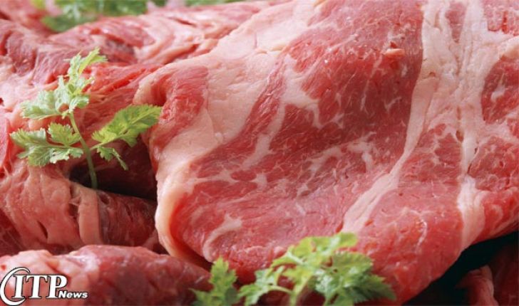 کاهش قیمت گوشت منوط به تصمیم ستاد تنظیم بازار