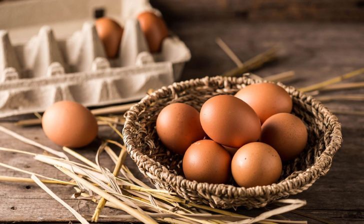 سه مشکل اساسی طرح کاهش سن کشتار مرغ اعلام شد