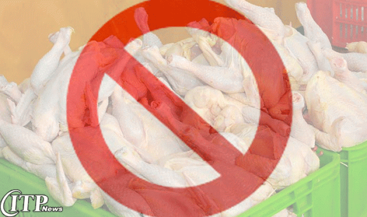 هنگ کنگ واردات تولیدات مرغداری از امریکا و ترکیه را ممنوع اعلام کرد ! 