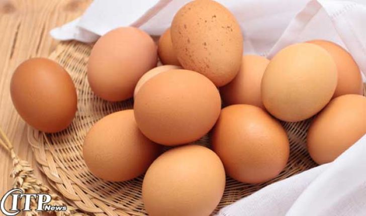 افزایش 60 درصدی ظرفیت تولید تخم‌مرغ 