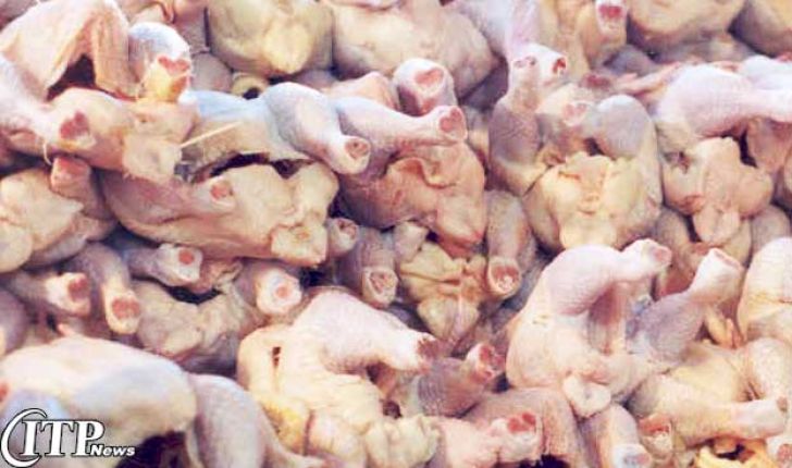تعیین قیمت گوشت مرغ برای ماه رمضان در حال بررسی است