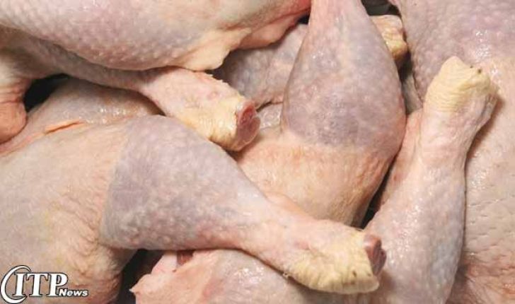  تولید 200 هزار تن مرغ مازاد بر مصرف در کشور