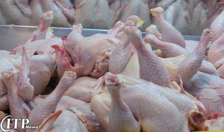  ایران رتبه ششم دنیا را در تولید گوشت مرغ دارد
