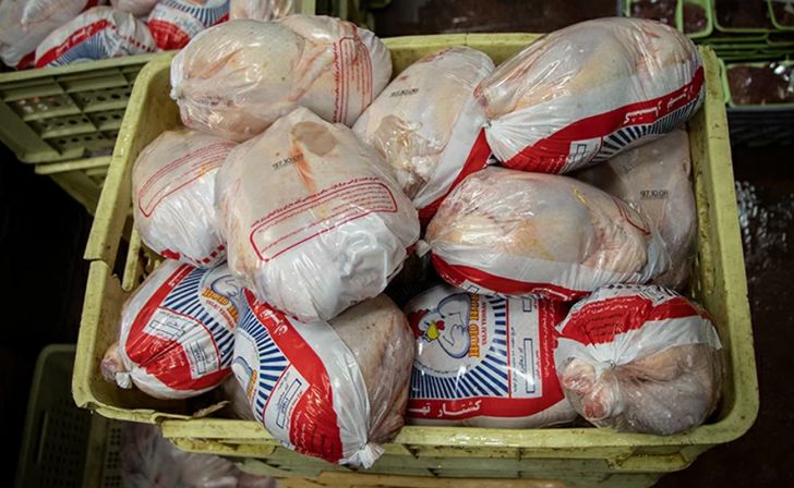  خمین دومین تولید کننده گوشت سفید مرغ در استان مرکزی