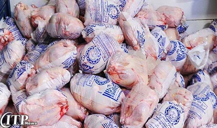 کاهش قدرت خرید مردم افزایش قیمت مرغ را متوقف کرد/ زیاد تولید کردیم، روی دستمان مانده