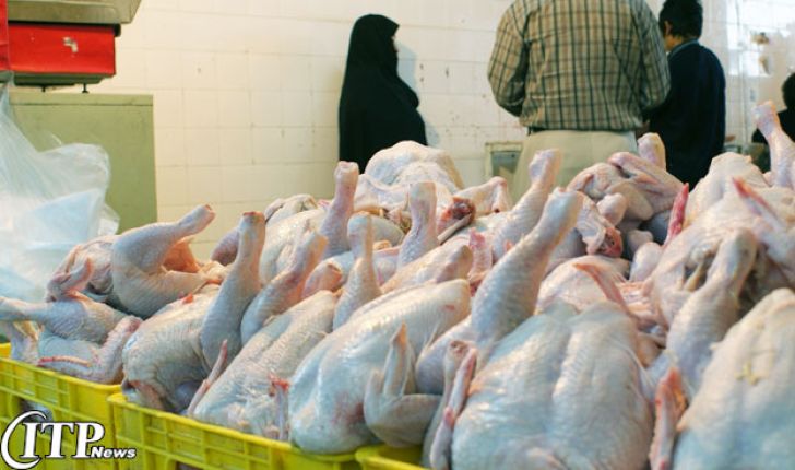 نرخ مرغ در بازار به ۷۰۰۰ تومان رسید