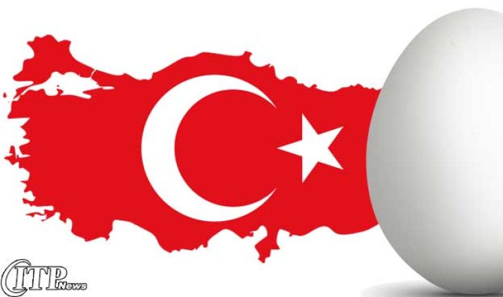 حضور ترکیه و نصف شدن صادرات تخم مرغ ایران