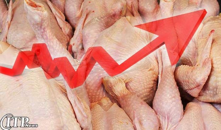 مصرف گوشت مرغ در ایران دو برابر میانگین جهانی است