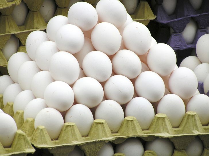  سهم بازار جهانی تخم مرغ ایران را چه کشورهایی گرفتند؟