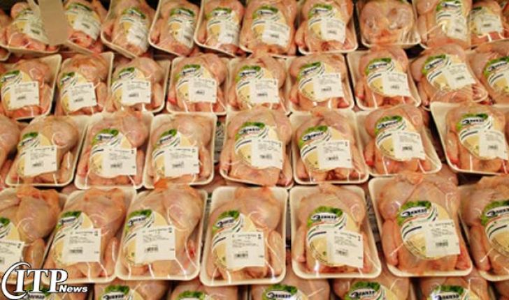 ۹۰۰ تن مرغ از چهارمحال و بختیاری به عراق صادر شد
