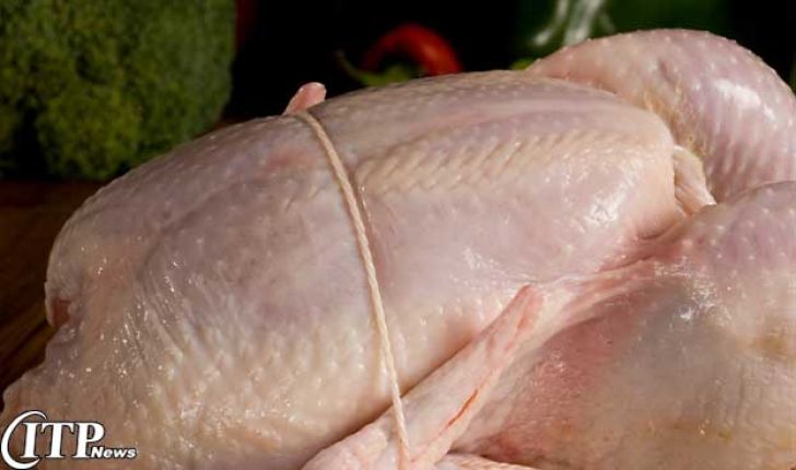 نگه داشتن گوشت مرغ در سردخانه بر قیمت آن تاثیر منفی دارد