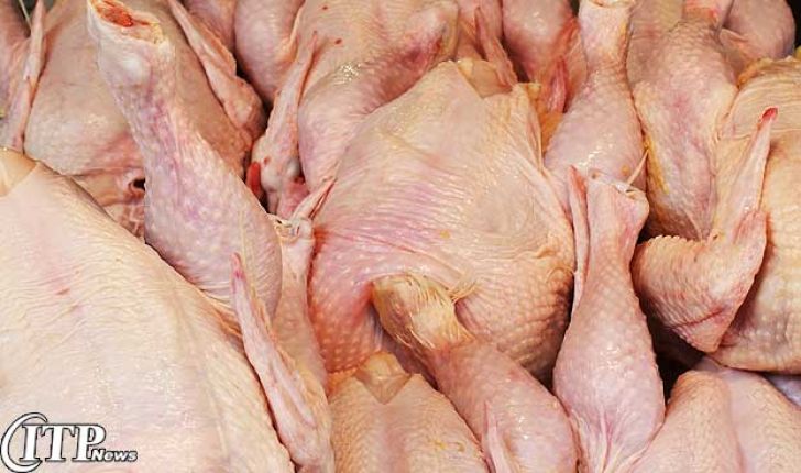 قیمت گوشت مرغ در زنجان افزایش یافت