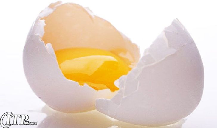 خراسان رضوی دارنده رتبه سوم تولید تخم مرغ در کشور
