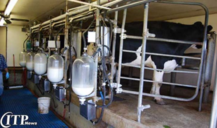 افزایش دو برابری تولید شیر خوراکی در اردستان 