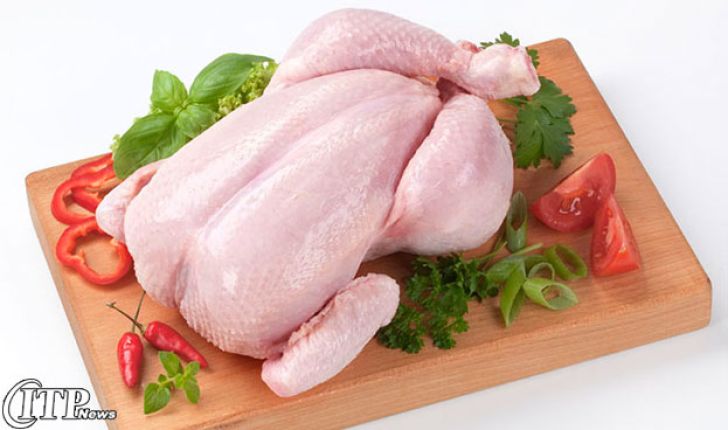 متوسط سرانه مصرف مرغ در ایران 26 کیلو گرم است