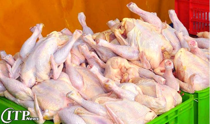 قیمت مرغ از نیمه تیرماه کاهش می یابد + قیمت گوشت سفید