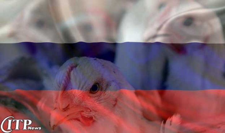 صادرات مرغ و مواد لبنی از گیلان به روسیه 