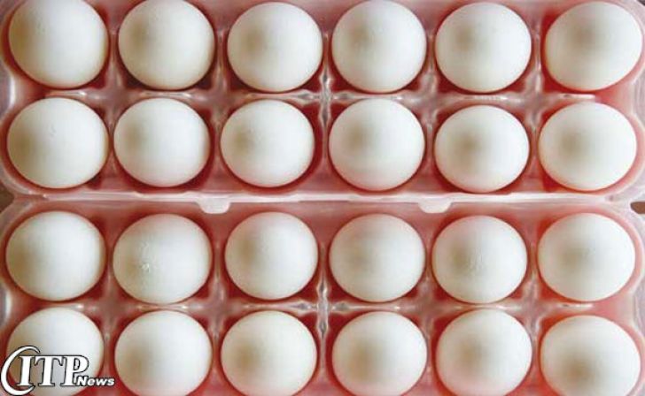 تولید بیش از سه هزار تن تخم مرغ در قوچان