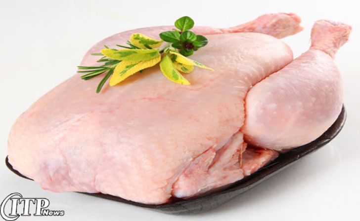 مرغ بدون آنتی بیوتیک تولید خراسان شمالی به بازار آمد