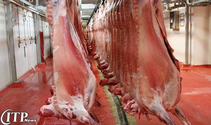 صادرات 60 تن گوشت گاومیش از آستارا