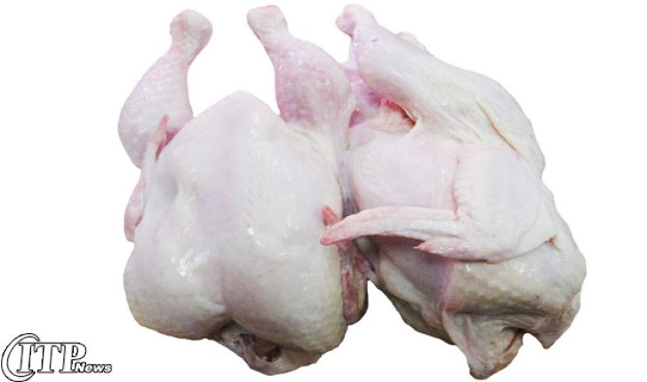 امکان صادرات گوشت مرغ از خراسان جنوبی به ۱۸۳ کشور فراهم می شود