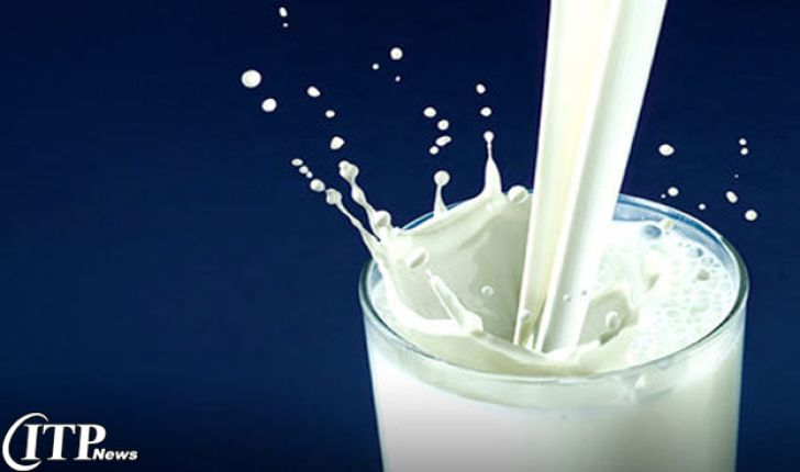 تصویب بسته حمایتی از تولید شیرخام/ افزایش صادرات شیرخشک