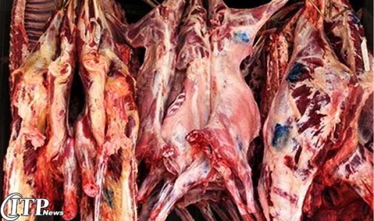 نظارت دامپزشکی خراسان شمالی بر استحصال 5200 تن گوشت سفید و قرمز در کشتارگاه‌ها