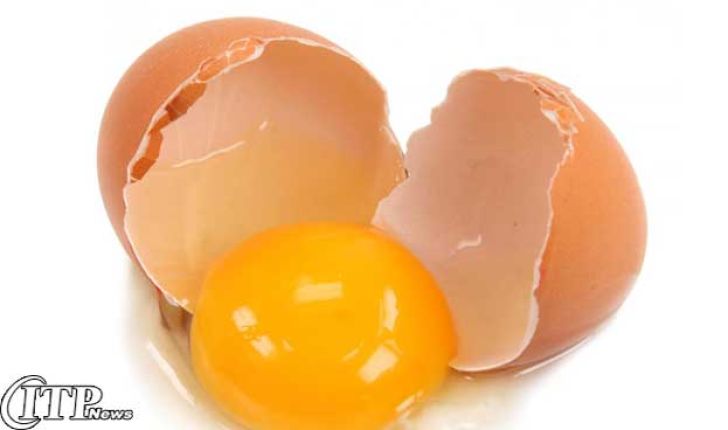 تخم مرغ غنی شده در کشور تولید می شود 