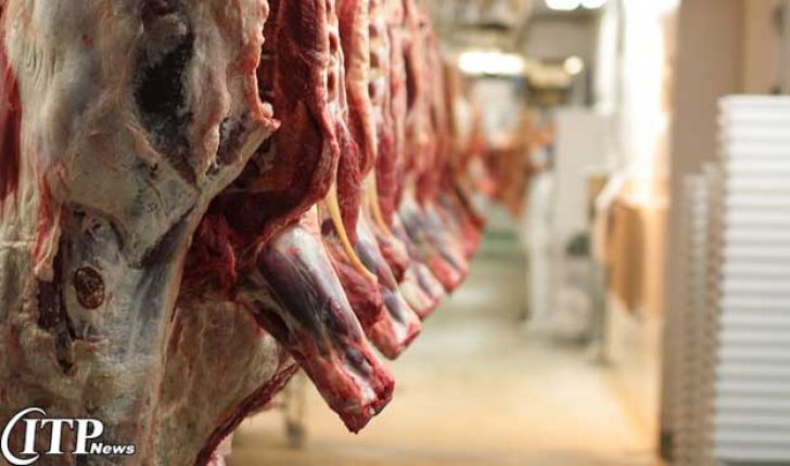 تاکید معاون وزیر جهاد کشاورزی بر خودکفایی در تولید گوشت قرمز