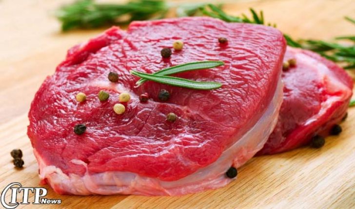 سازمان حمایت باید با افزایش قیمت گوشت برخورد کند