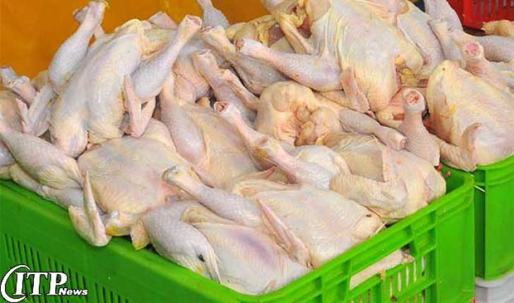 جهاد کشاورزی مستندات افزایش قیمت مرغ را ارائه دهد