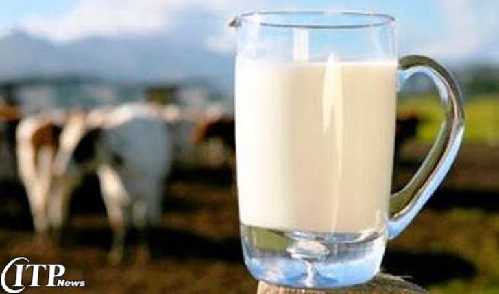 روزانه 200 تن شیر مازاد مصرف استان یزد به دیگر استان ها صادر می شود