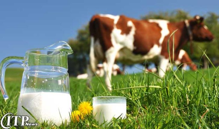 خرید حمایتی شیر خام مرهم درد دامداران شد؟