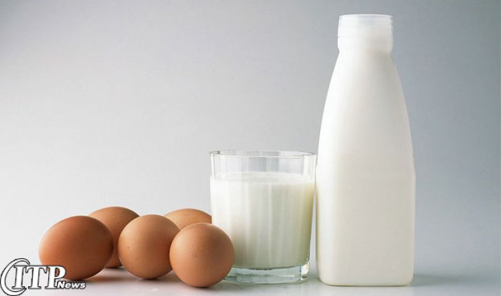 طرح های عرضه بهداشتی تخم مرغ و ارتقای کیفیت شیر امسال پیگیری می شود
