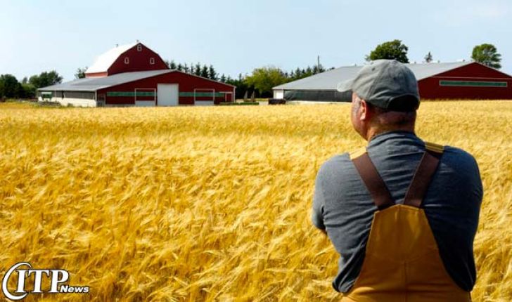 مطالعات نشان می دهد کشاورزان کانادایی بیشترین استرس را دارند