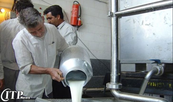 افزایش سرانه مصرف شیر با بسته حمایتی دولت /خرید حمایتی شیر خام به مرز 80 هزارتن رسید