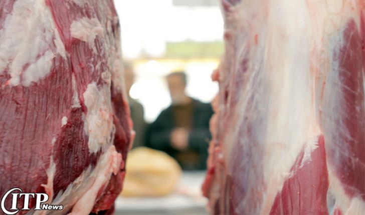 افزایش مجدد قیمت گوشت گوسفند