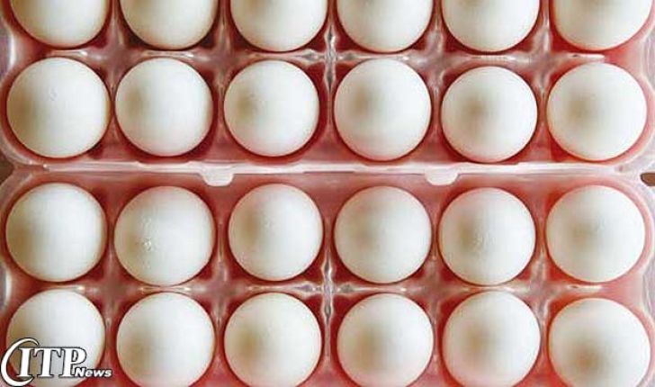 ۲۰۰هزار تن تخم‌مرغ مازاد داریم/کاهش ۶۰درصدی صادرات