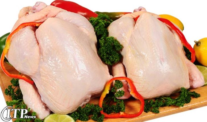 مرغ 700 تومان افزایش یافت/ ترکیه بازار مرغ ایران را در عراق گرفت