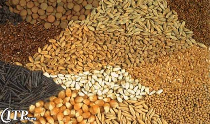 رونق صادرات خوراک دام در ازای کاهش نرخ تسهیلات بانکی
