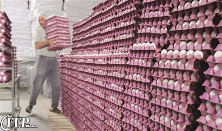 مانور تجاری مرغداران ایرانی در عراق در غیاب ترکیه/ روزانه 500 تن تخم‌مرغ به عراق صادر می‌شود