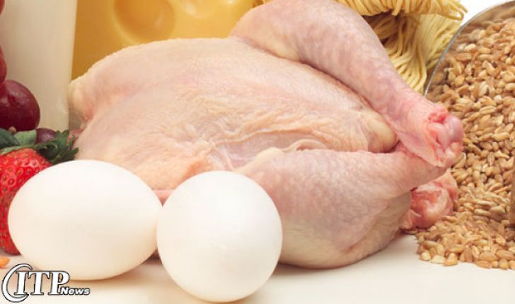 صادرات مرغ و تخم مرغ از خراسان رضوی افزایش یافت