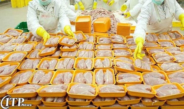 ناکامی ایران در بازارهای صادراتی مرغ