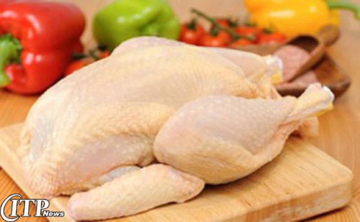آغاز اجرای طرح کاهش سن و وزن کشتار مرغ گوشتی استان یزد