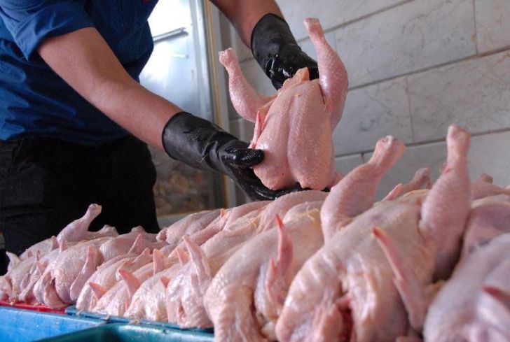 صادرات گوشت مرغ از چهارمحال و بختیاری افزایش یابد